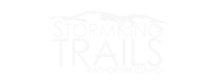 storm king logo